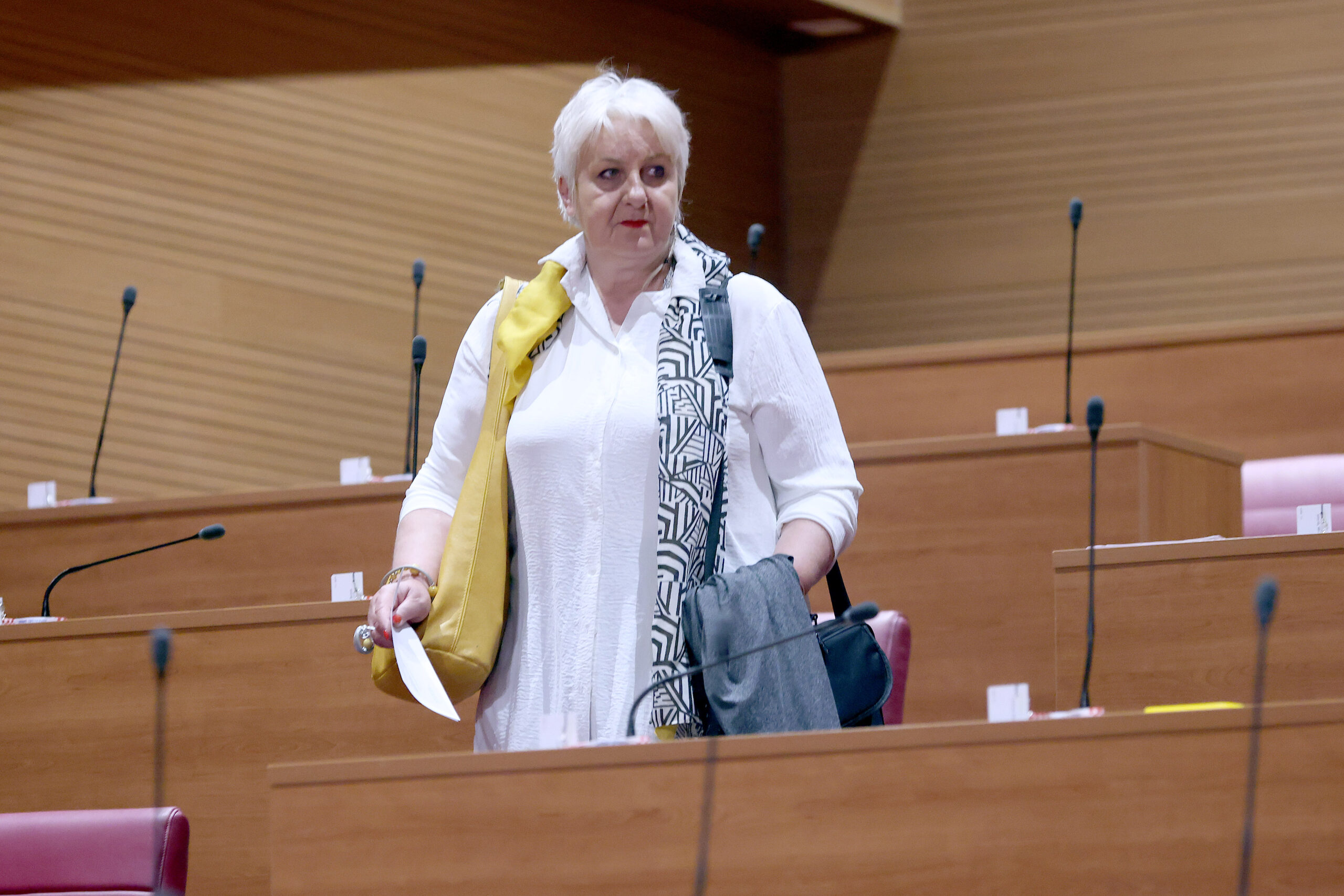 Dubravka Novak (Možemo!) / Pixsell