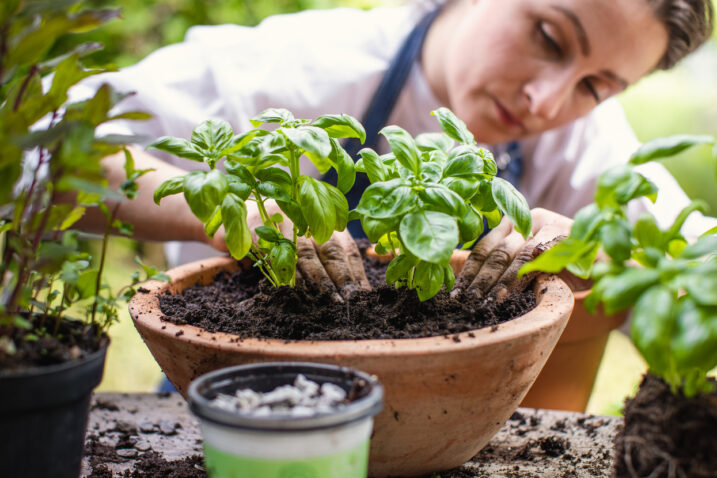 FOTO: iStock