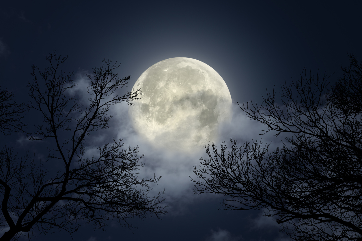 iStock