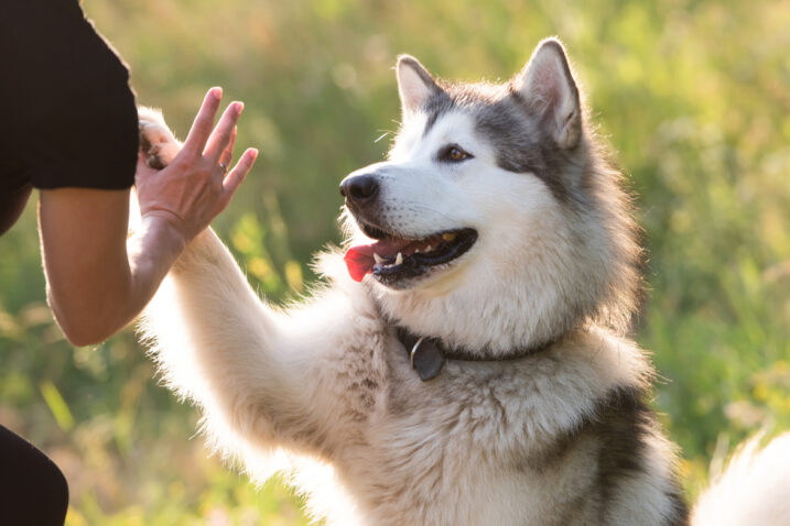 FOTO: iStock