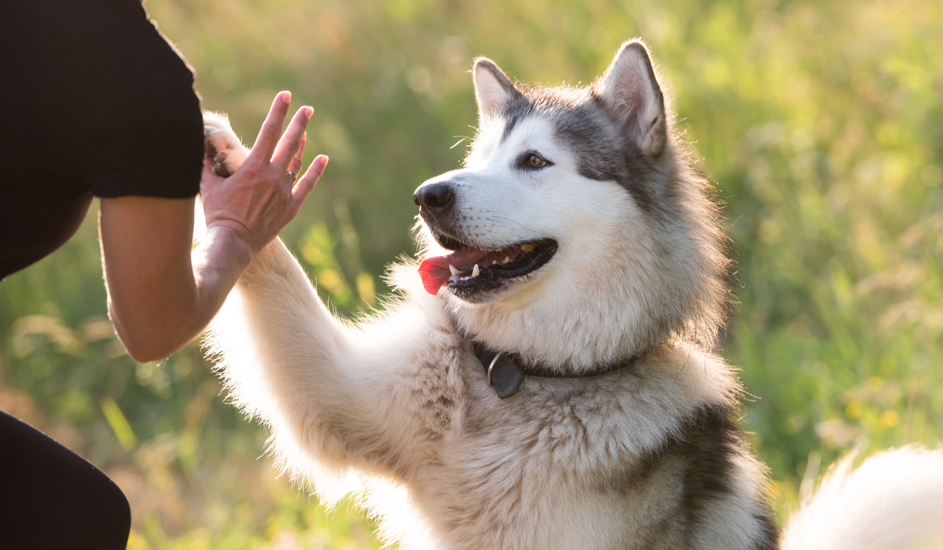 FOTO: iStock