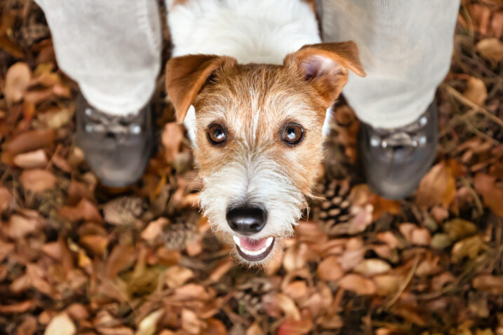 FOTO: iStock