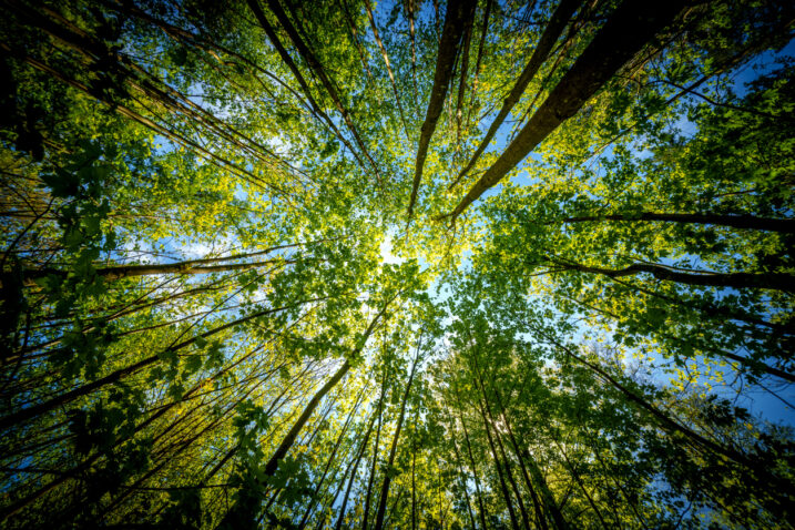 iStock