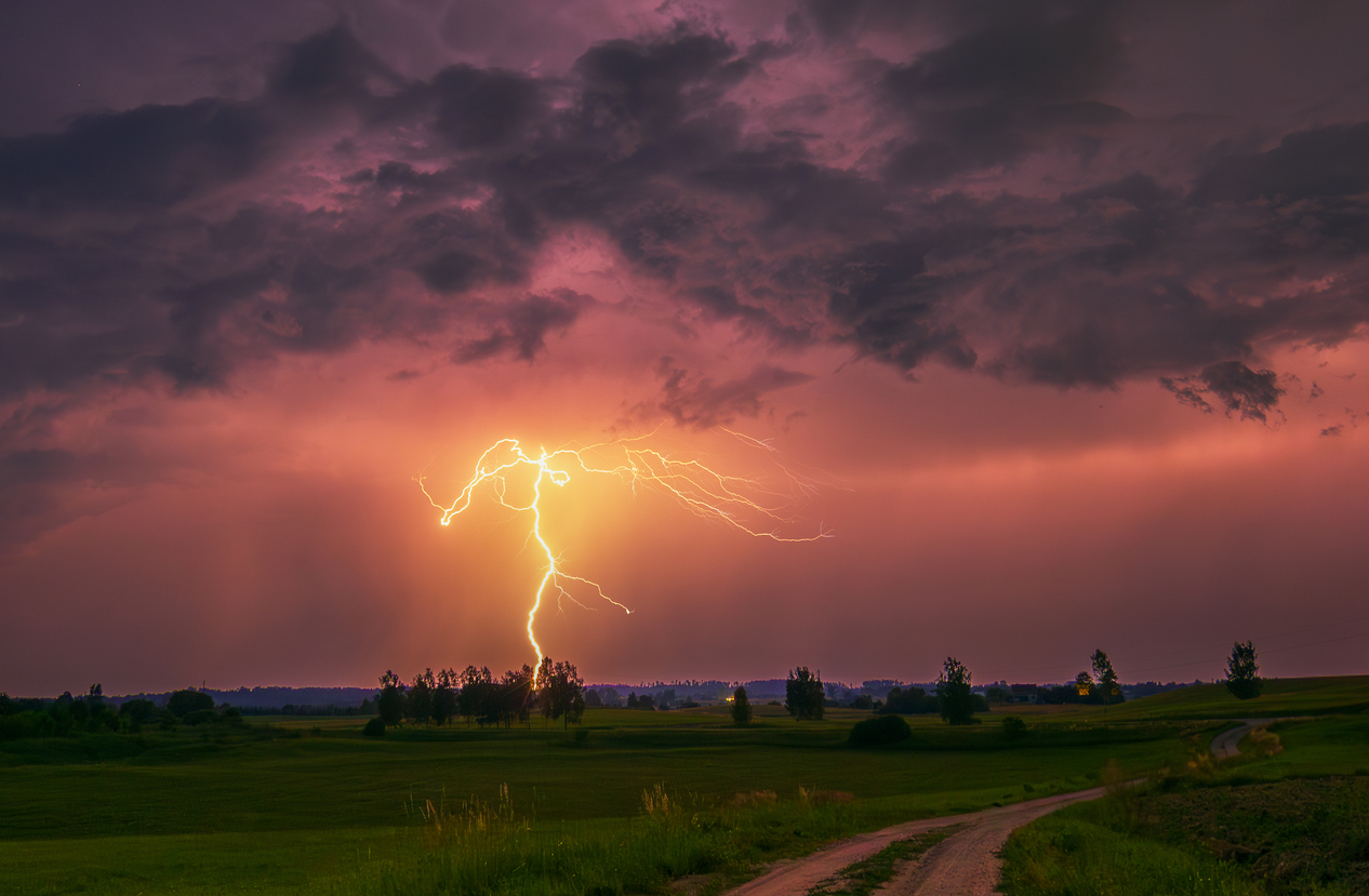 Foto iStock