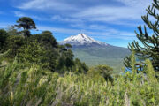 iStock