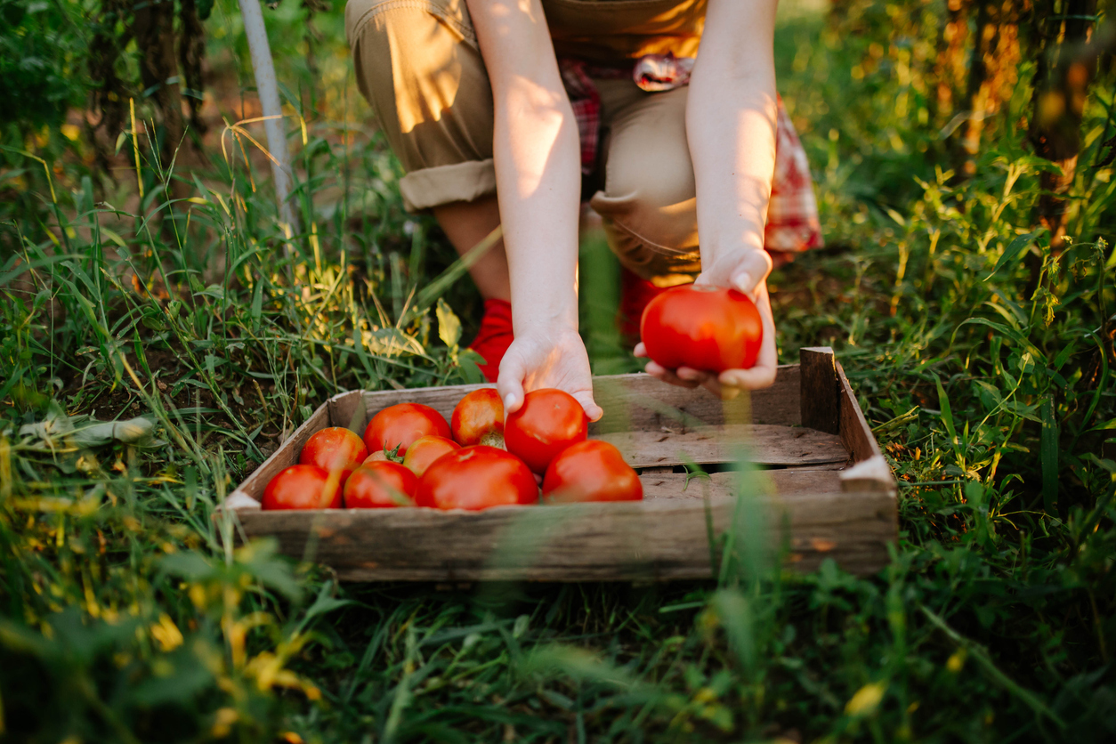 FOTO: iStock