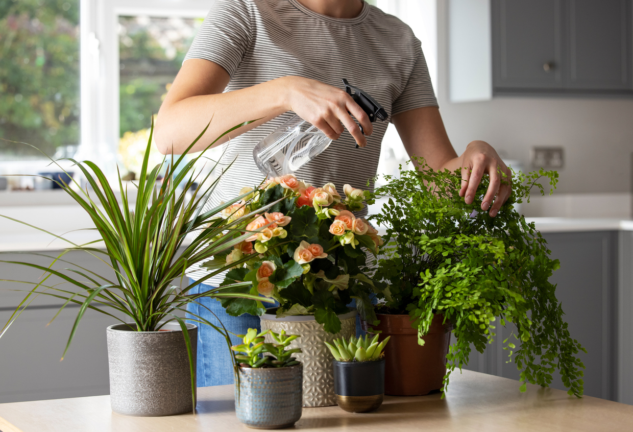 FOTO: iStock