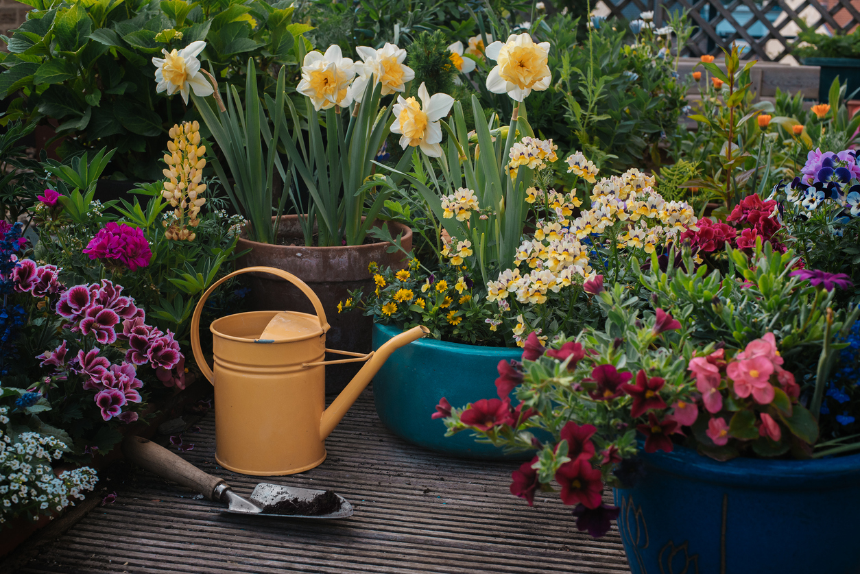FOTO: iStock