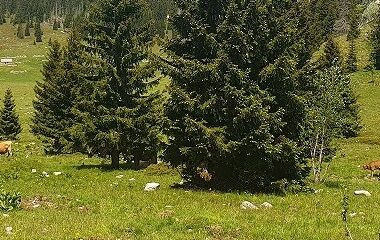Foto NP SJEVERNI VELEBIT