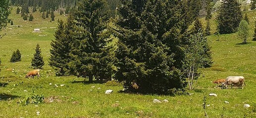 Foto NP SJEVERNI VELEBIT