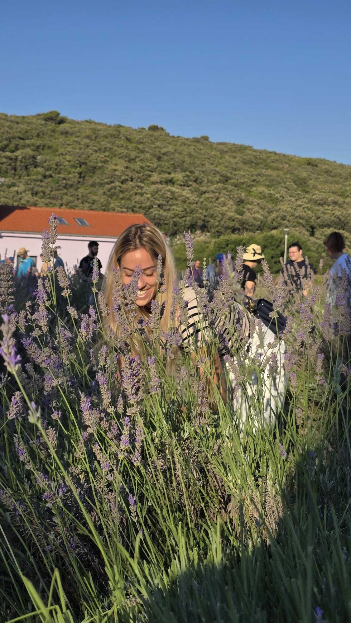 Miris lavande opuštai usrećuje / Foto: INSULA