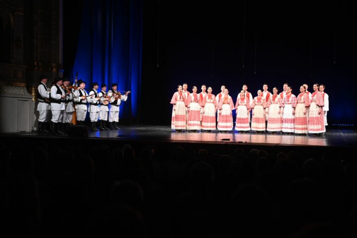 Foto: NIKOLA BLAGOJEVIĆ