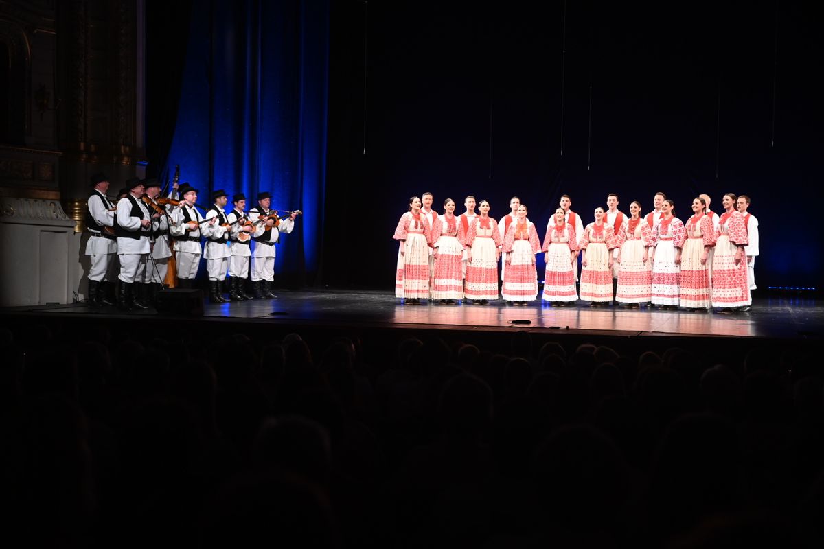 Foto: NIKOLA BLAGOJEVIĆ