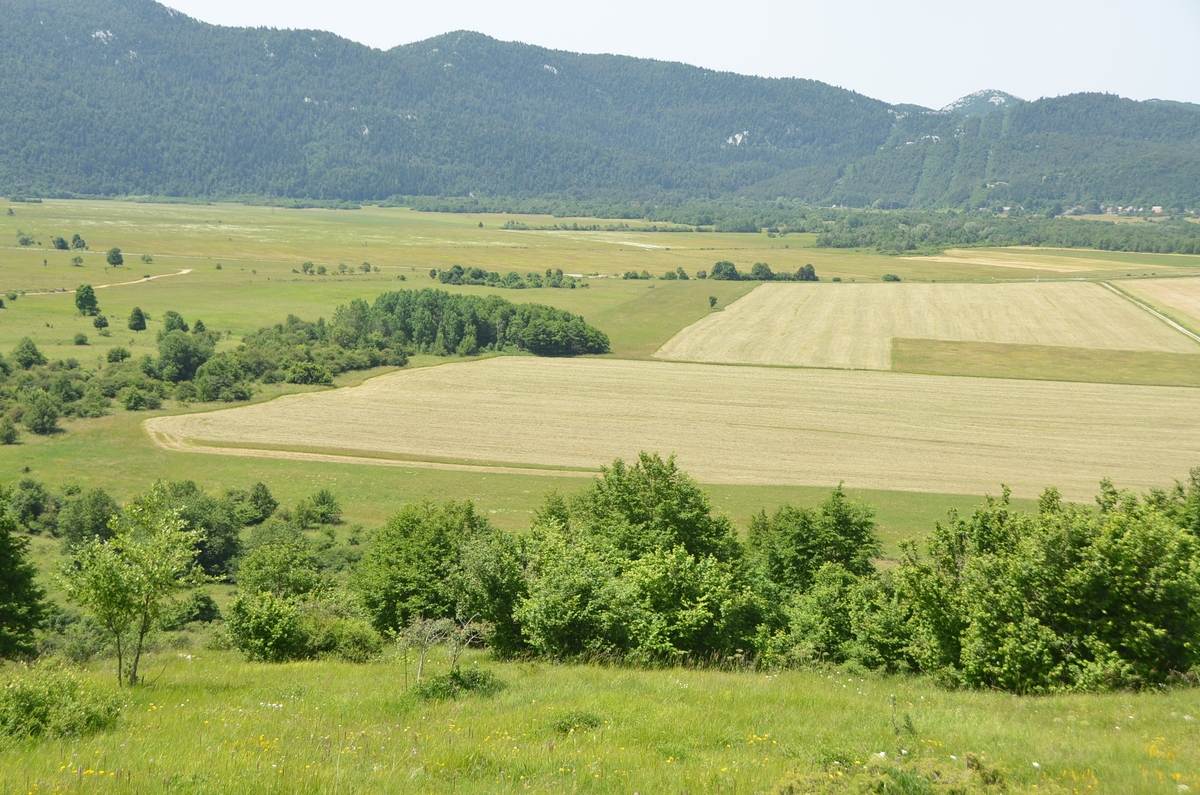 Foto Marinko Krmpotić