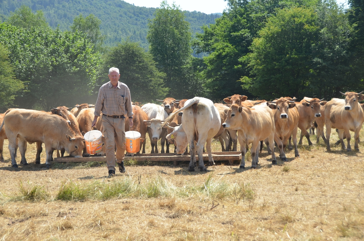 Foto Marinko Krmpotić