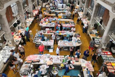 Foto Vladimir Mrvoš