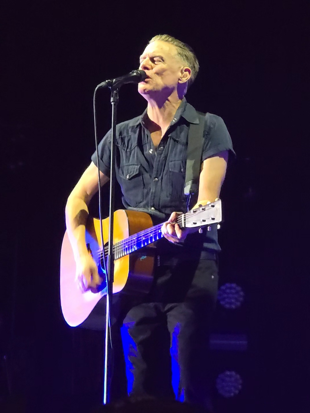 Bryan Adams u Areni