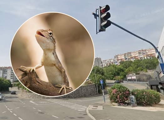 Foto Rijeka plus, Pixabay