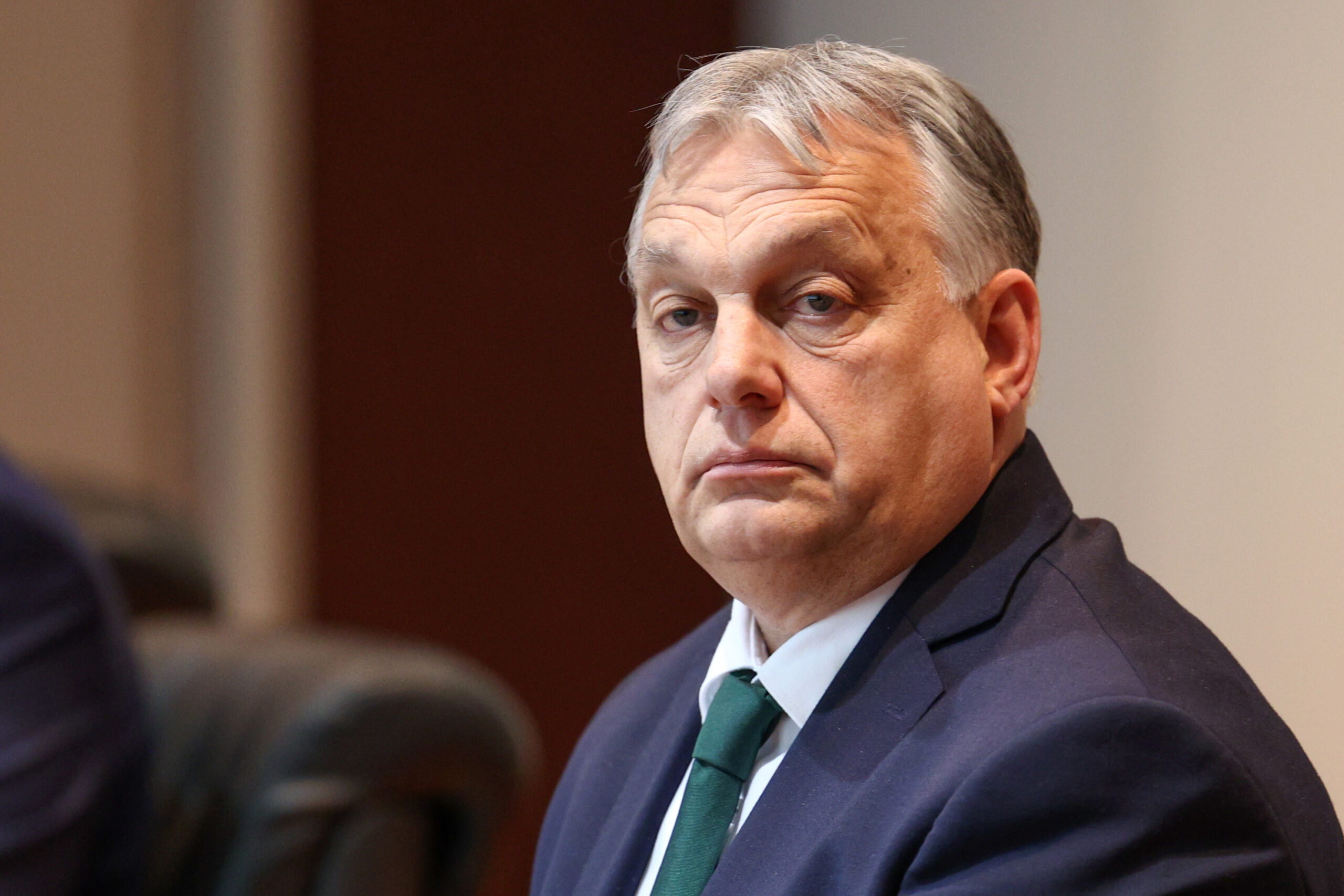 Viktor Orban / Photo: Damir Hajdarbasic/PIXSELL