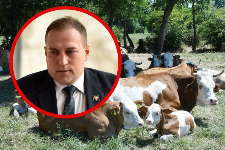 Nikola Cutuk/PIXSELL/ Davor Kovacevic