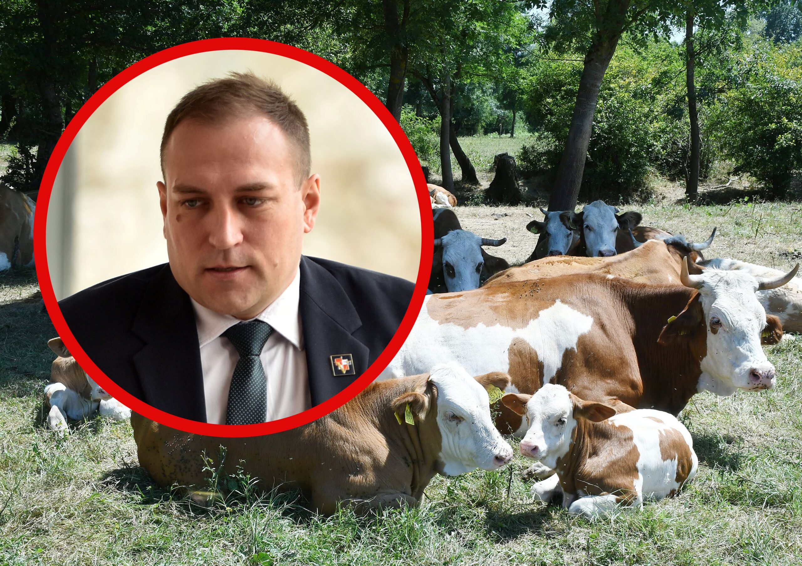 Nikola Cutuk/PIXSELL/ Davor Kovacevic