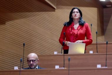 SDP-ova Tanja Sokolić /Pixsell