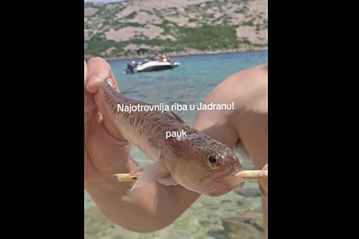 Screenshot TikTok