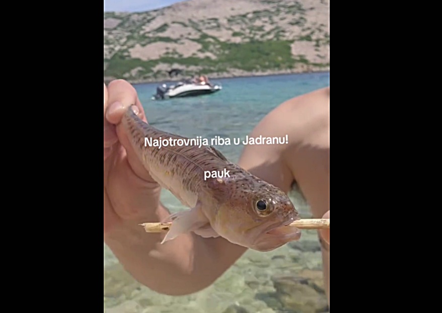 Screenshot TikTok