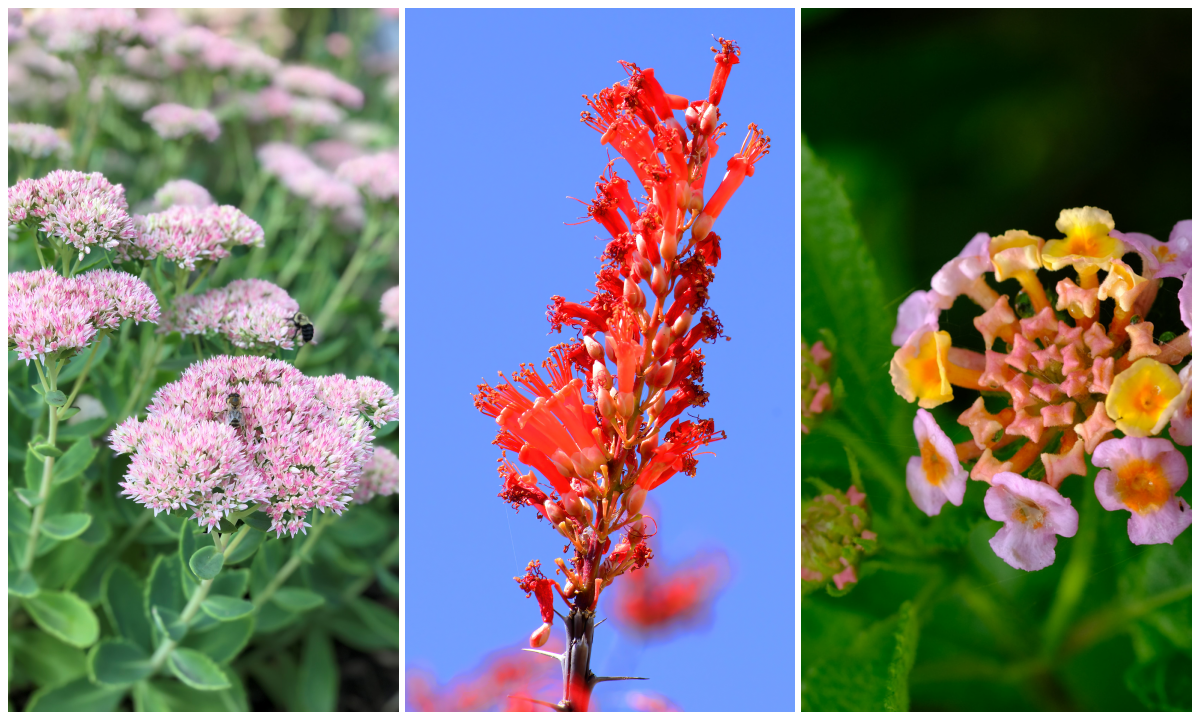 Foto: iStock
