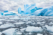iStock
