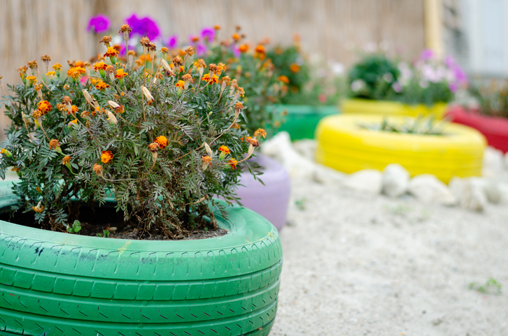 Foto: iStock