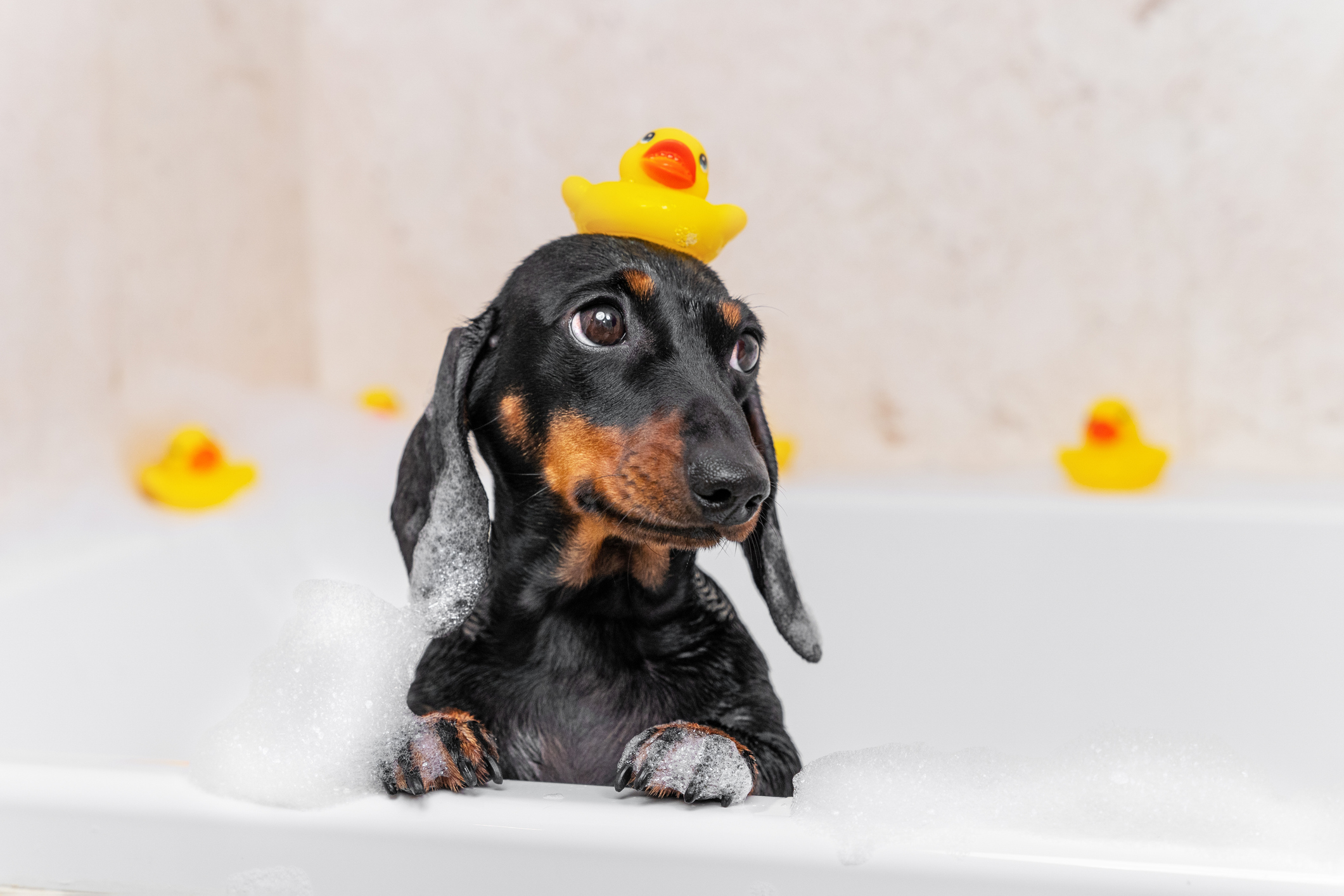 Foto: iStock