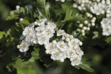 Foto: iStock