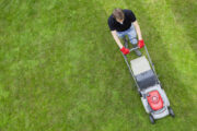 FOTO: iStock