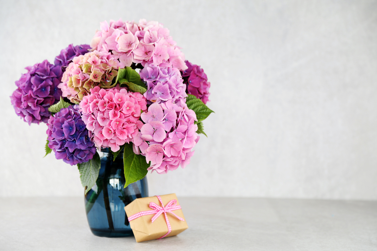 FOTO: iStock