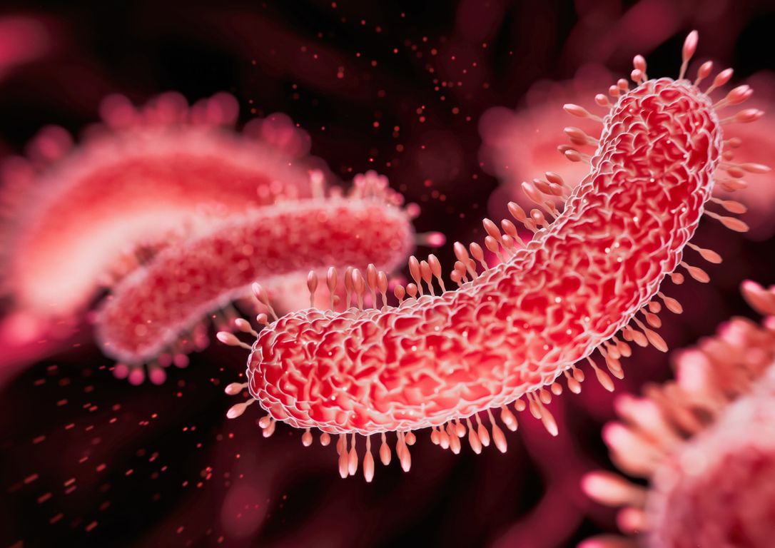 iStock