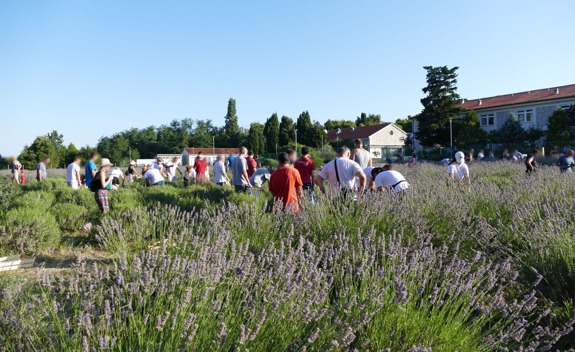 Foto: INSULA
