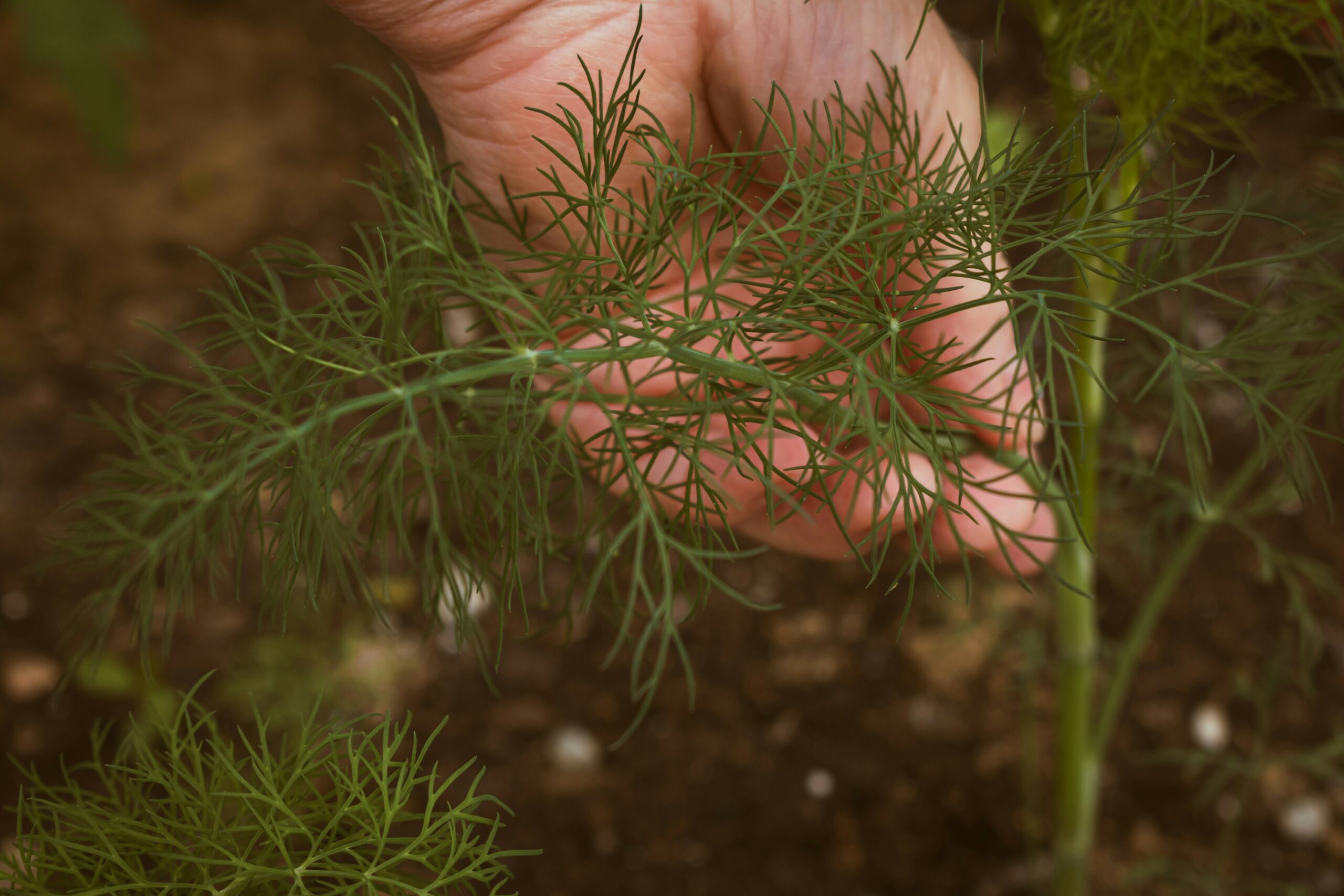 FOTO: Unsplash