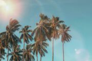 Foto: Pexels