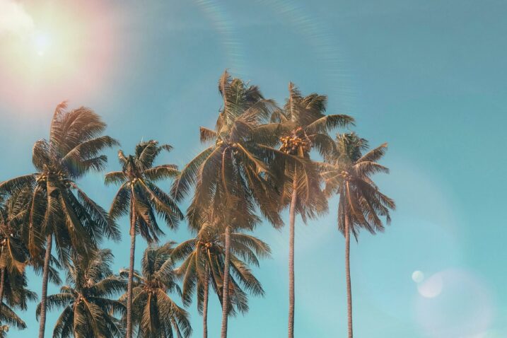 Foto: Pexels