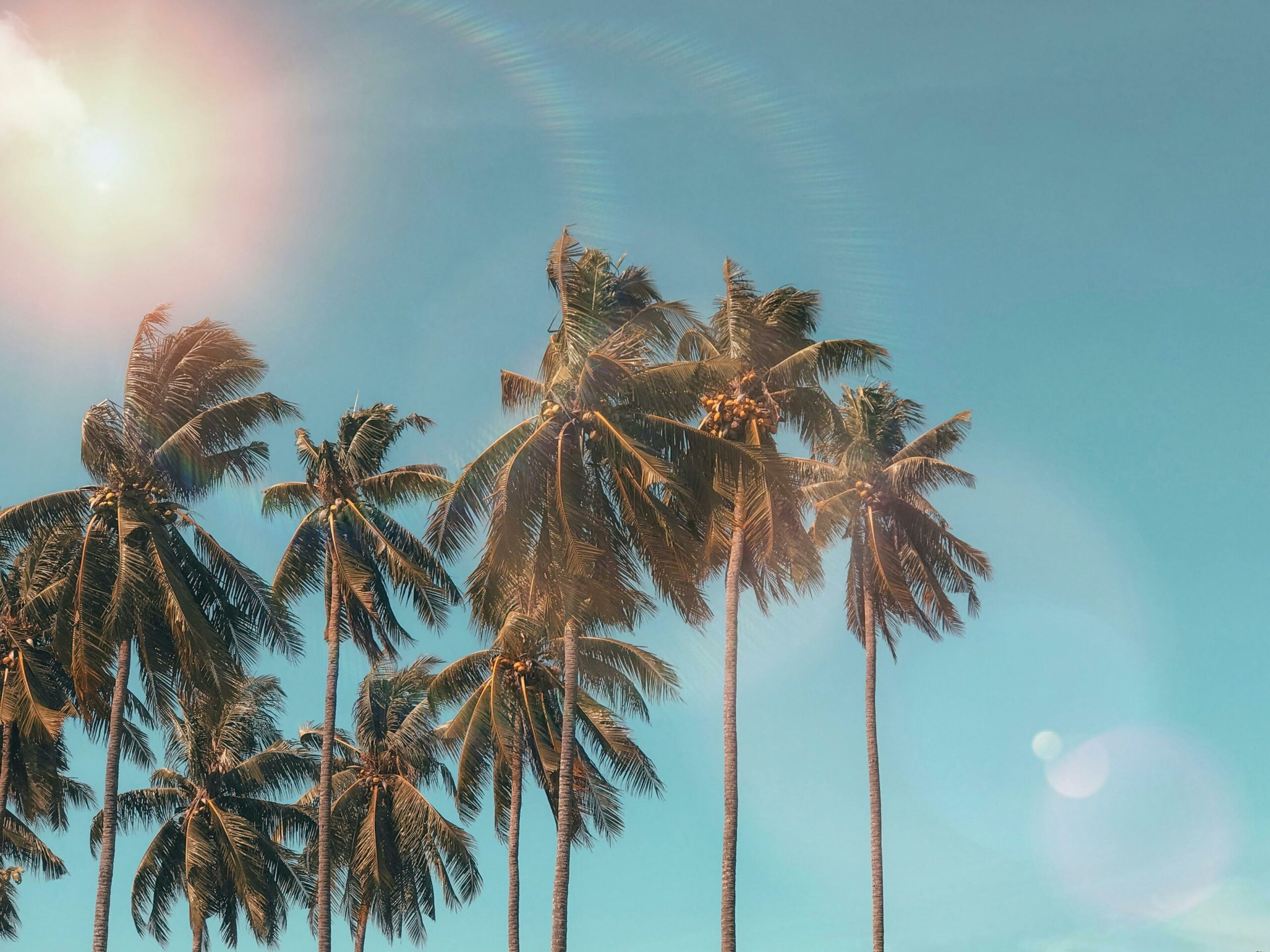 Foto: Pexels