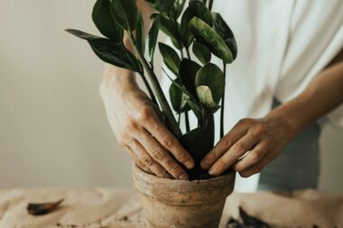Foto: Pexels