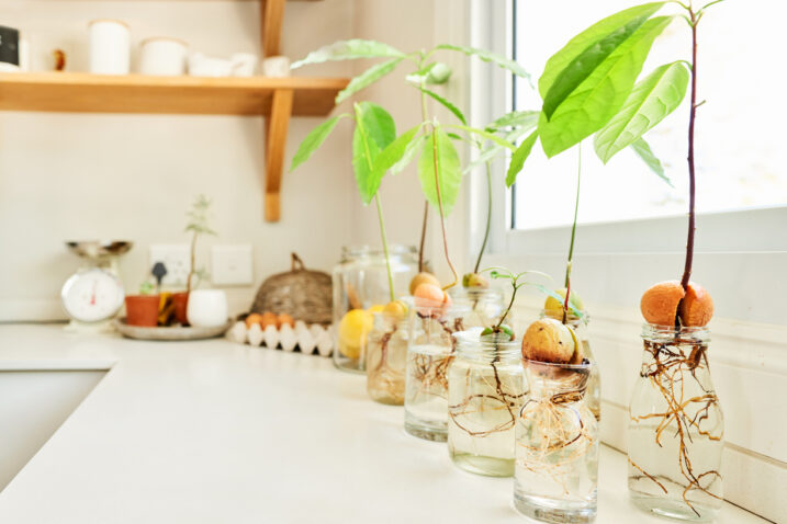 FOTO: iStock