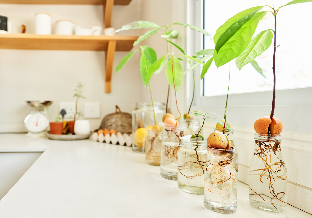 FOTO: iStock