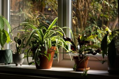 FOTO: Unsplash