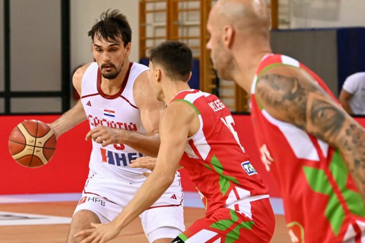 KONSTANTA - Dario Šarić/Foto M. GRACIN