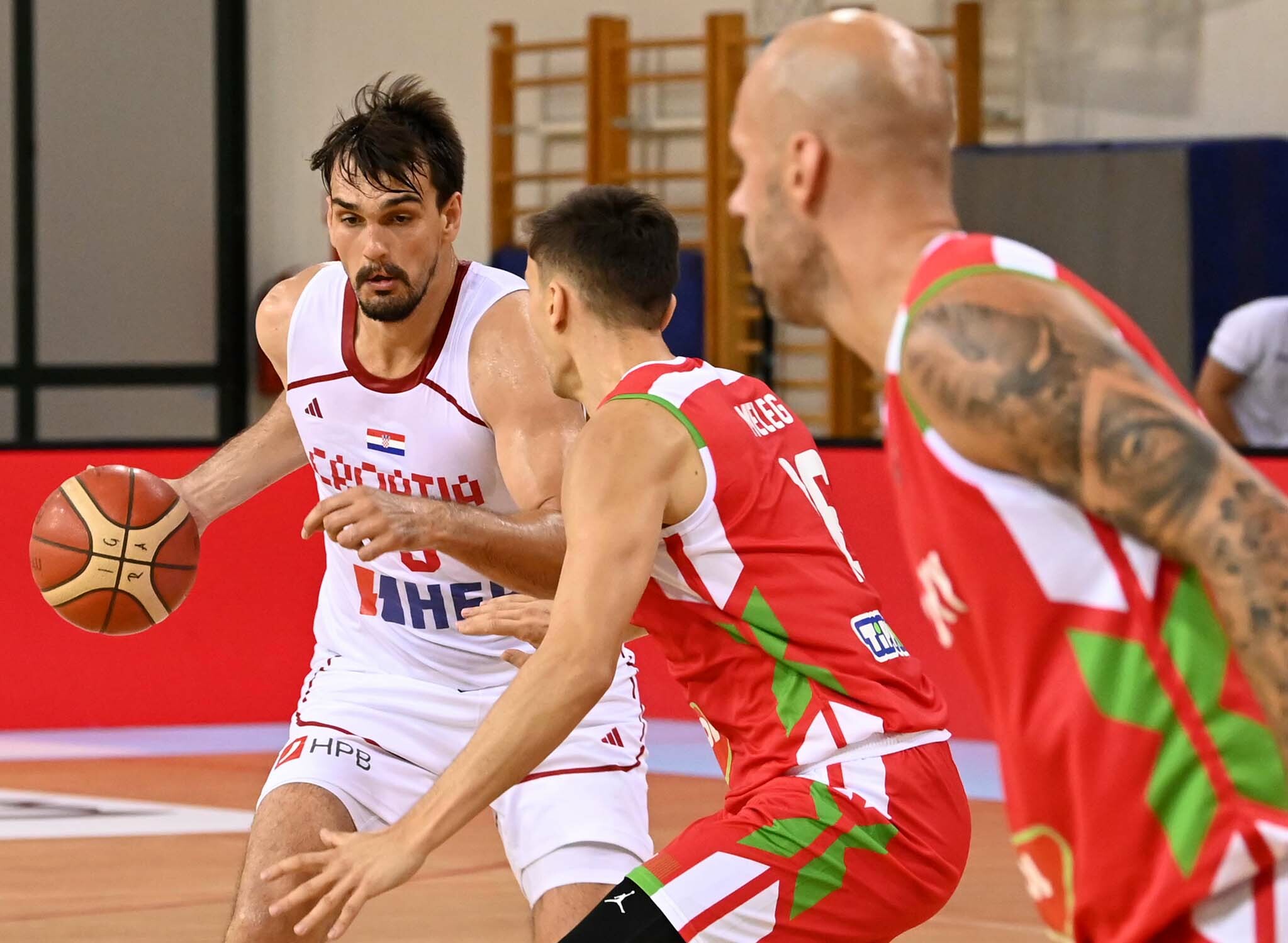 KONSTANTA - Dario Šarić/Foto M. GRACIN