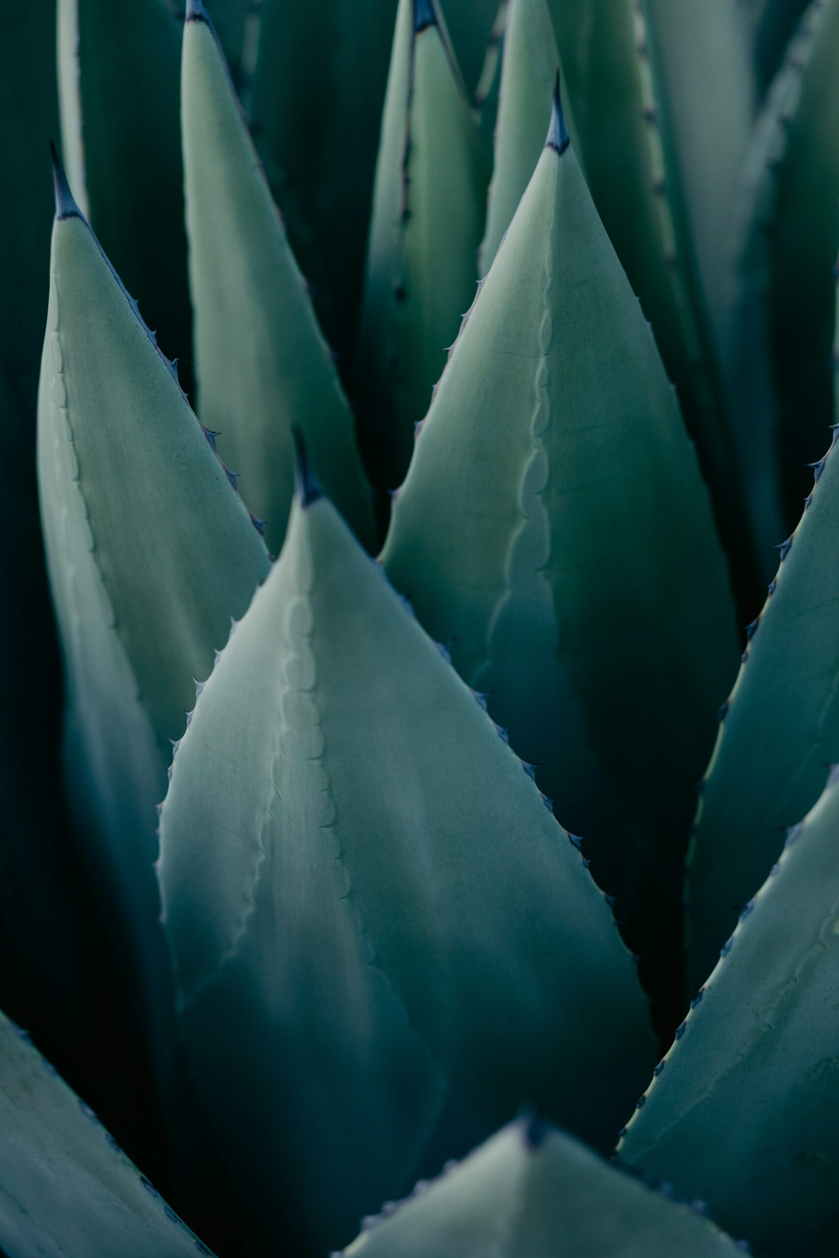 Foto: Unsplash