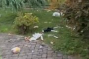 Dvorište kuće gradonačelnika Slavonskog Broda / Foto: Grad Slavonski Brod