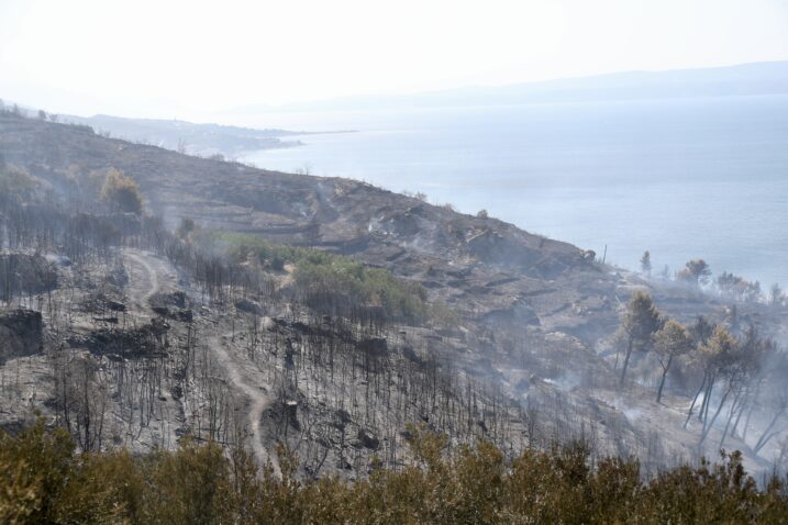 Photo: Ivo Cagalj/PIXSELL